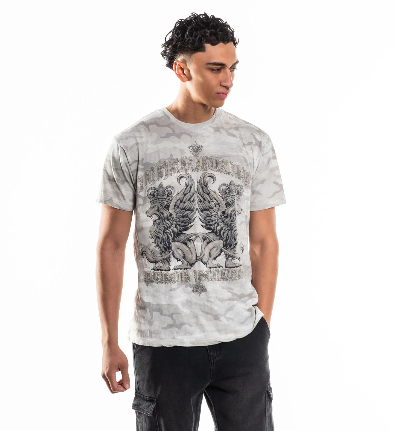 Guardian Lion - Image 2