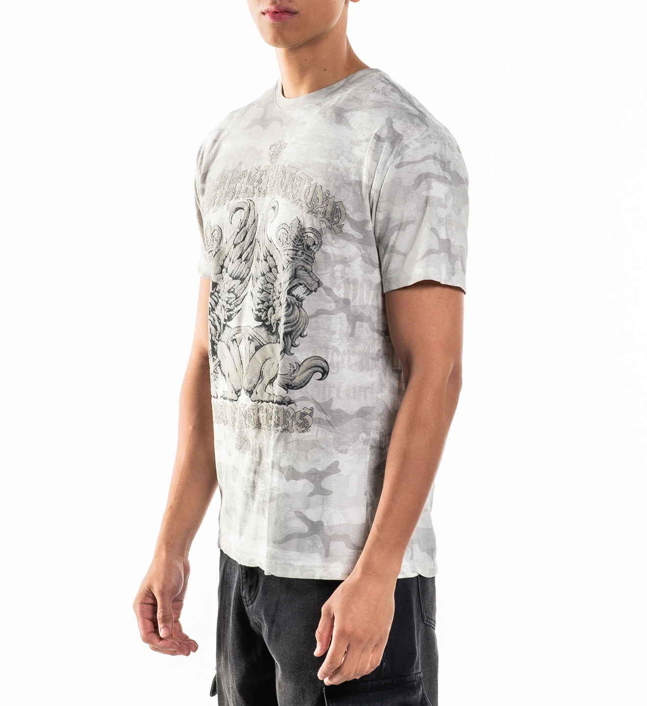 Guardian Lion - Image 6